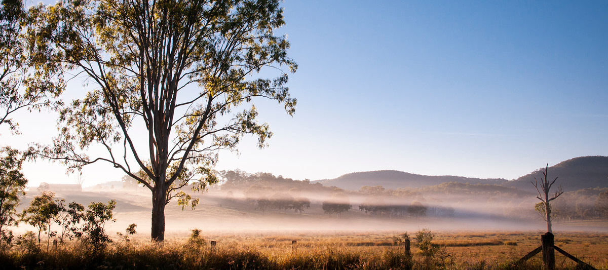 Strengthening Rural Care: Highlights from the 2024-2025 Health Workforce Queensland Annual Report