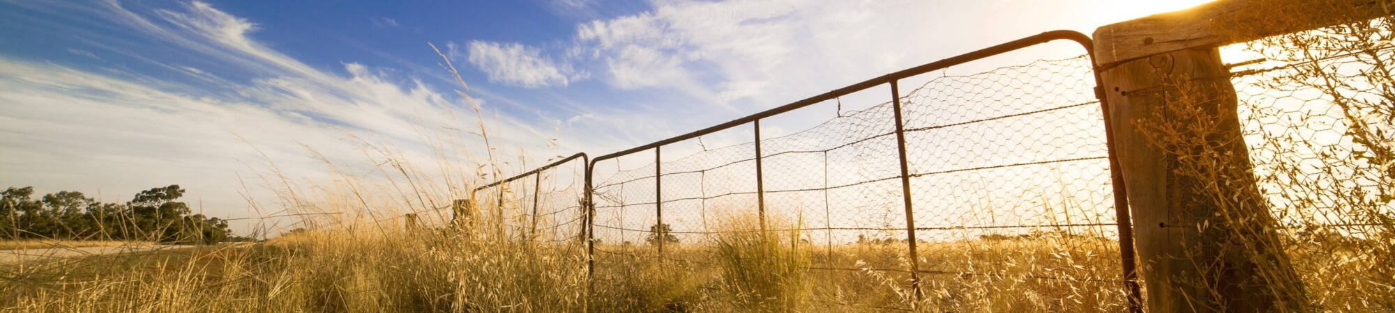 Banner Default Image