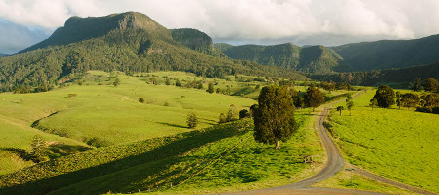 Blog Images Heidi Cayari