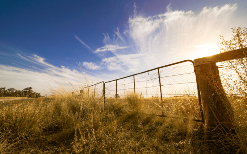 Workshops photo of rural paddock with fence and gate