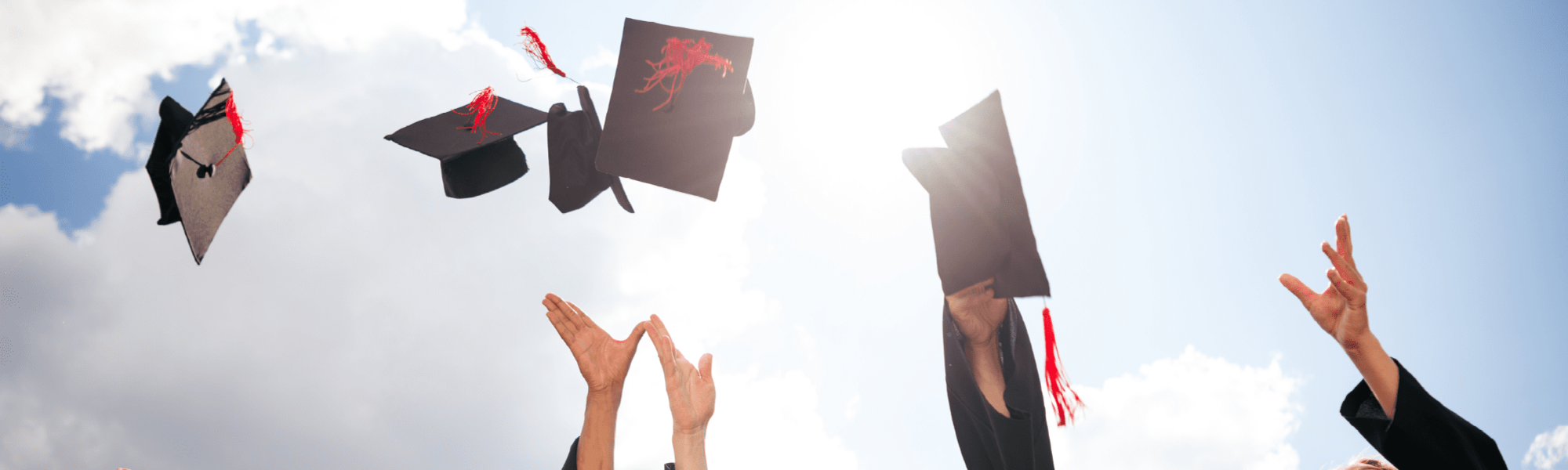 New Graduate Job Opportunities