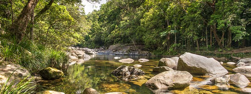 Northern Queensland